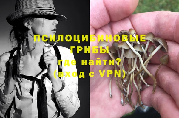 ALPHA-PVP Аркадак